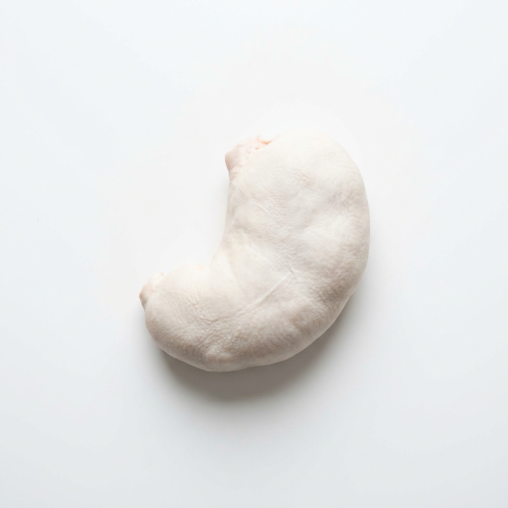 Schwein Magen, roh