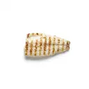 Alaska-Pollack/Alaska-Seelachs, tiefgefroren, gegrillt