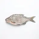 Blei/Brachsen/Brasse, tiefgefroren