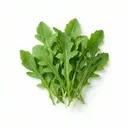 Rucola oder Salatblätter