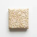 Tempeh