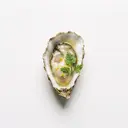 Europäische Auster gedämpft