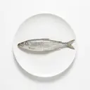 Felchen/Maräne/Renke/Schnäpel, roh