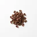 Getreideflakes gesüßt, mit Schokolade