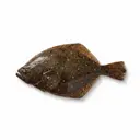 Goldbutt/Scholle, roh