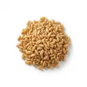 Hafer ganzes Korn, gekocht