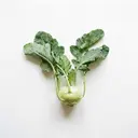 Kohlrabi