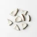 Kokos Fruchtfleisch, roh