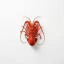 Languste tiefgefroren, gekocht