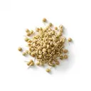 Linsensprossen/Linsenkeimlinge, roh