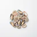 Meeresfrüchtemischung roh