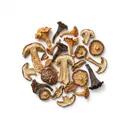 Mischpilze getrocknet