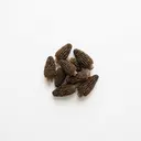 Morchel Konserve, abgetropft