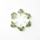 Petersilienblatt tiefgefroren