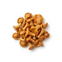 Pfifferling Konserve, abgetropft