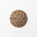 Quinoa tricolore, roh