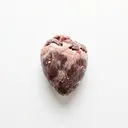 Rind Herz, tiefgefroren