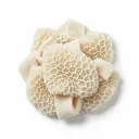 Rind Magen/Kutteln, roh