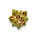 Romanesco gebraten ohne Fett (Pfanne)