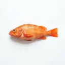 Rotbarsch/Goldbarsch, roh