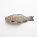 Schleie tiefgefroren