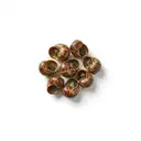 Schnecken tiefgefroren, gekocht