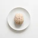 Schwein Hirn, gekocht