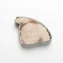 Schwertfisch tiefgefroren