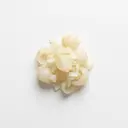 Speisezwiebel tiefgefroren, gedünstet