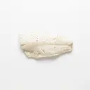 Steinbutt gedünstet