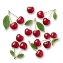 Süßkirsche roh