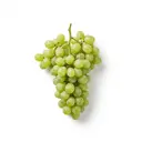 Weintraube weiß, roh