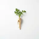 Wurzelpetersilie roh