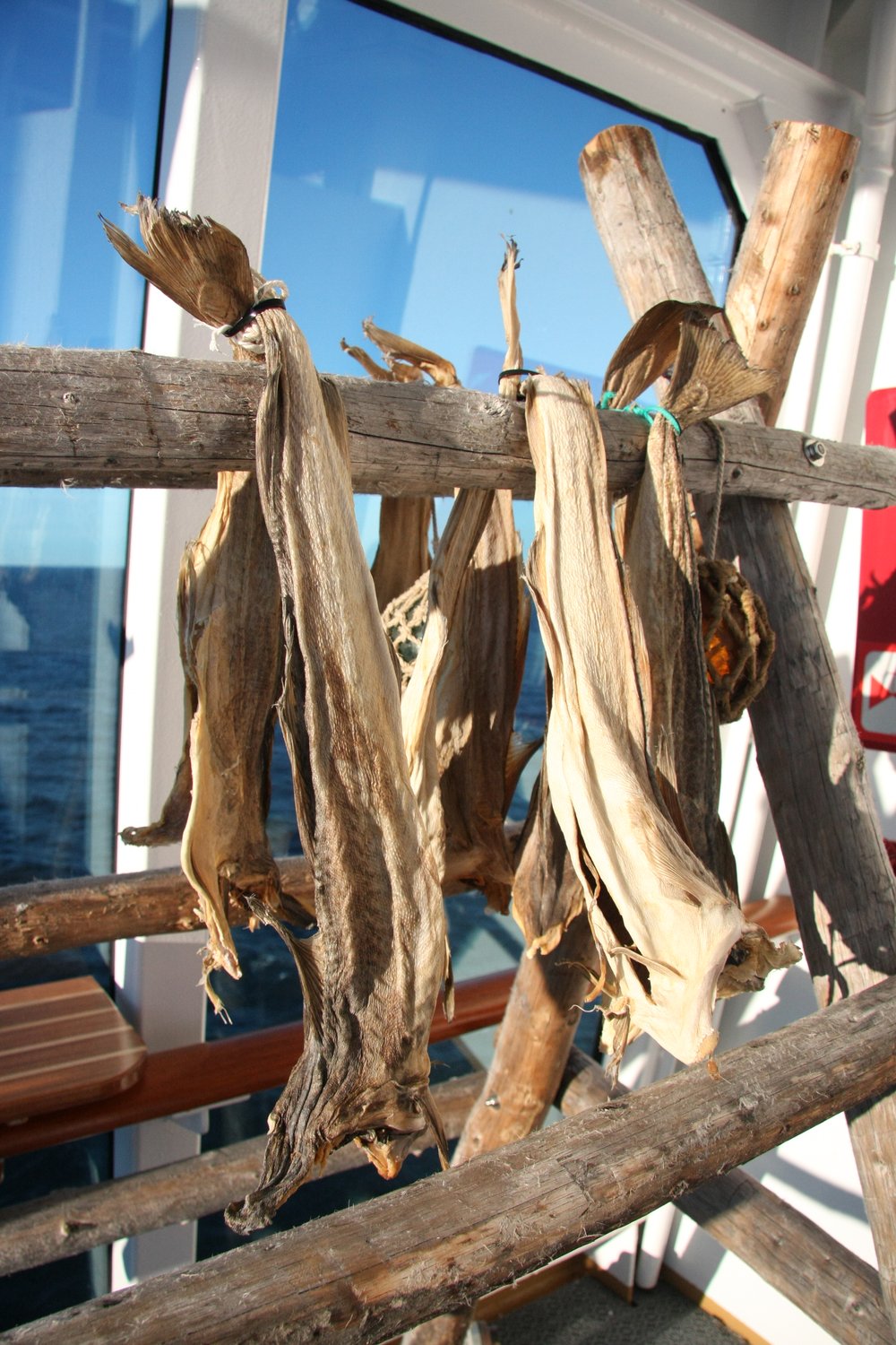 Cook Snap von kochcode-team