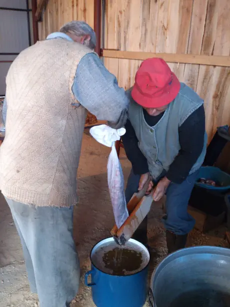 Cook Snap von kochcode-team