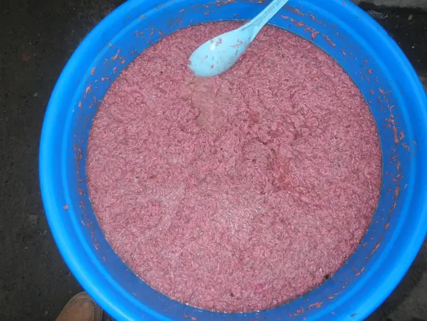 Foto von Bicol Express – Filipinisches Chili-Kokosfleisch – fertig angerichtet