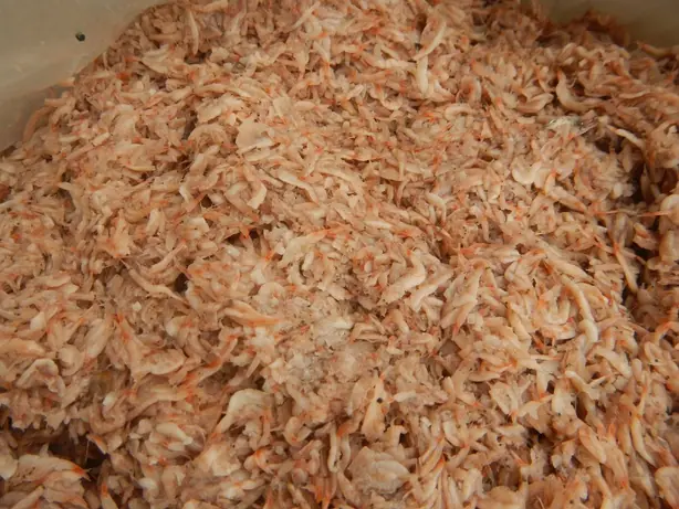 Foto von Philippinisches Bagoong Isdâ – fertig angerichtet