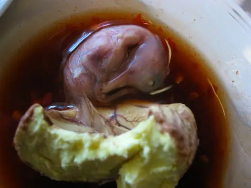 Cook Snap von kochcode-team