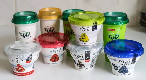 Foto von Isländischer Skyr mit Blaubeeren – fertig angerichtet