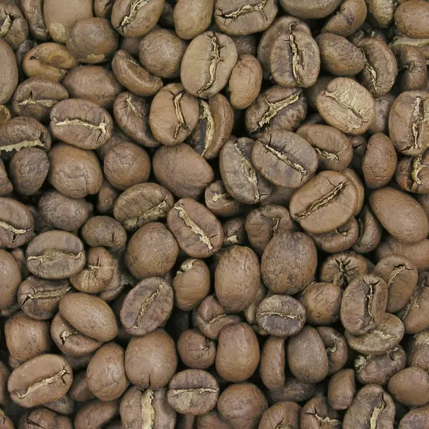 Cook Snap von kochcode-team