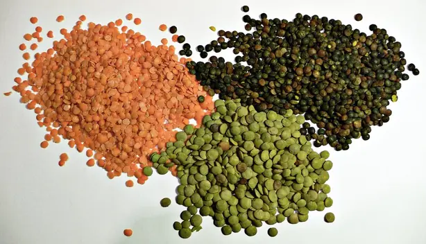 Foto von Indisches Dal Tadka Klassisch – fertig angerichtet