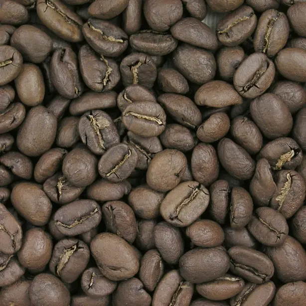 Cook Snap von kochcode-team