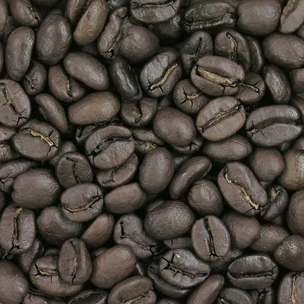 Cook Snap von kochcode-team