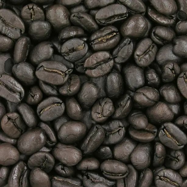 Cook Snap von kochcode-team