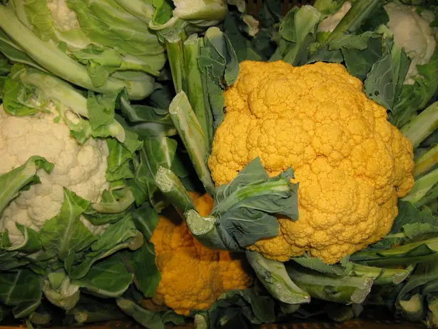 7367-Brassica oleracea var. botrytis – Foto: Malte (CC BY-SA 3.0)