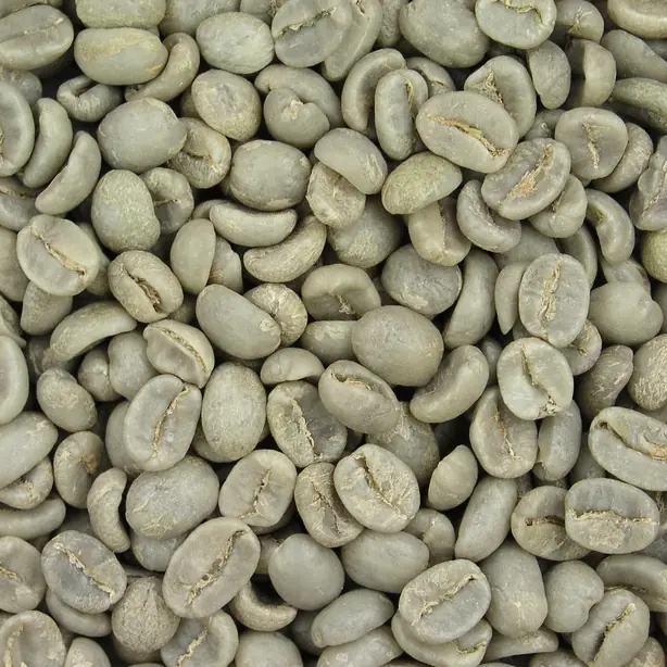 Cook Snap von kochcode-team