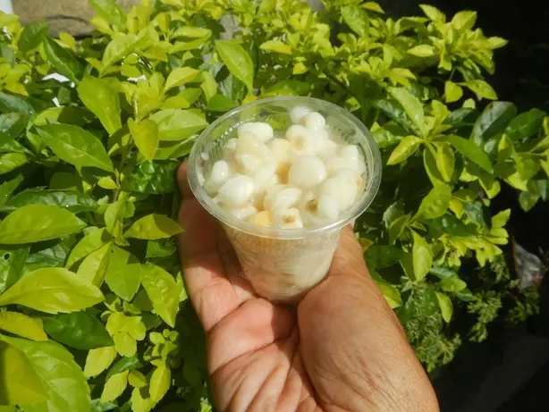 Foto von Filipinisches Binatog mit Kokos – fertig angerichtet