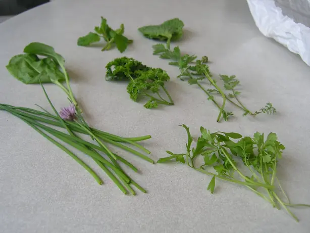 Cook Snap von kochcode-team