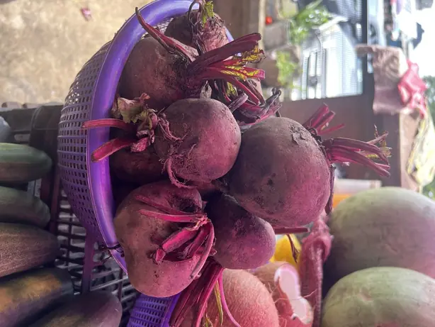 Cook Snap von kochcode-team