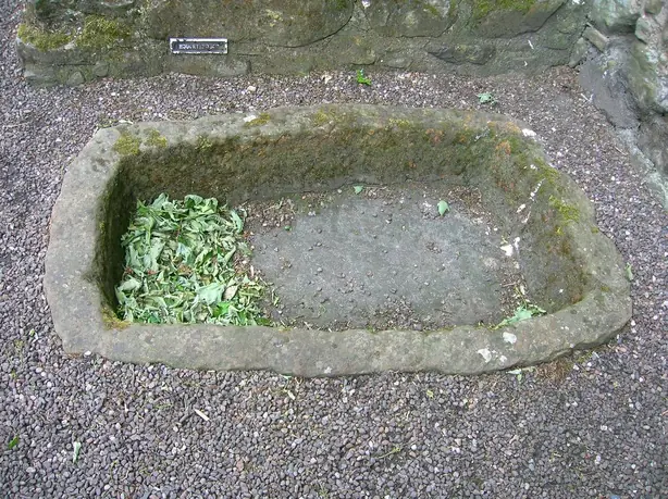 Foto von Klassisches Sauerteigbrot aus Weizen – fertig angerichtet